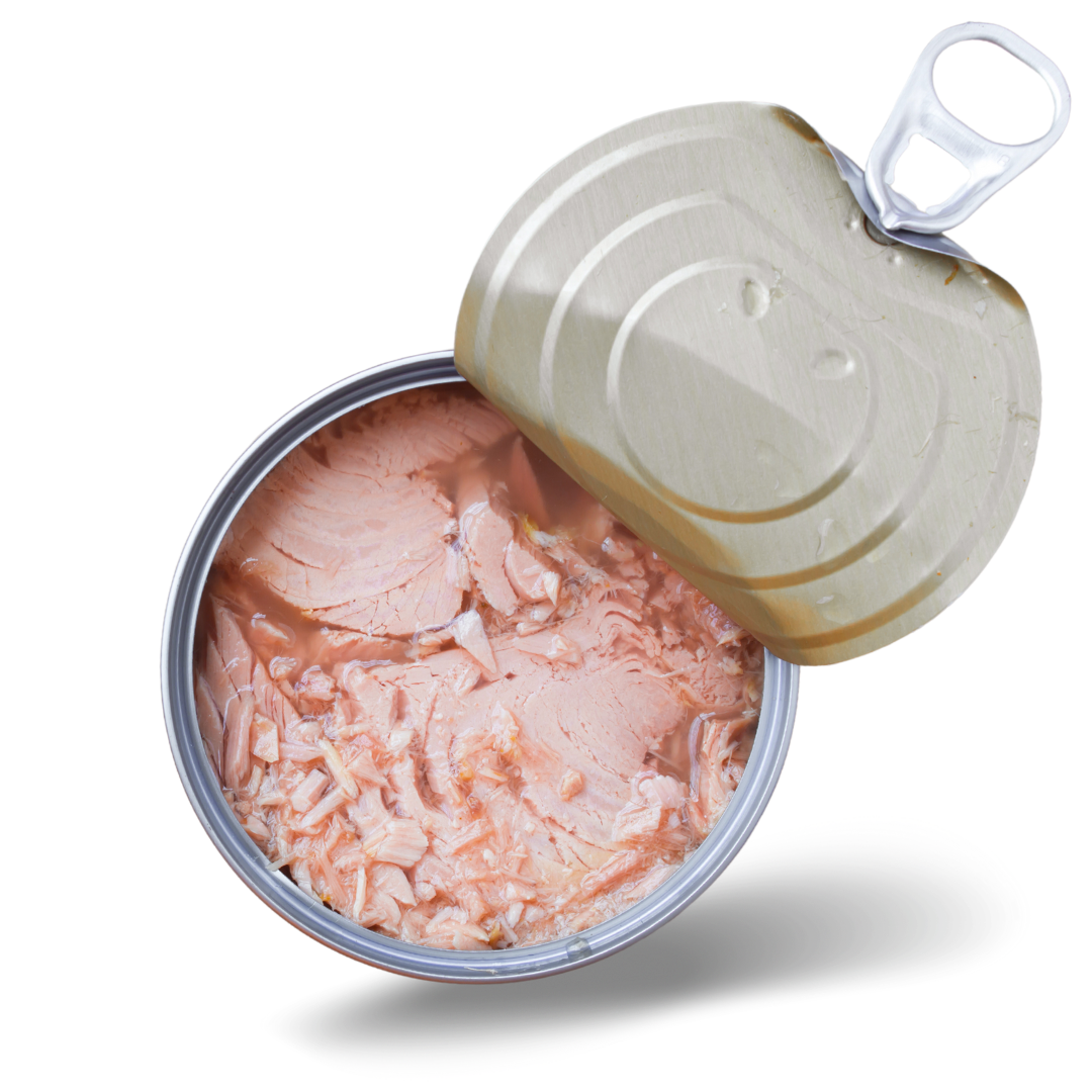 Wild Albacore Tuna